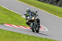 Oulton-Park-21st-March-2020;PJ-Motorsport-Photography-2020;anglesey;brands-hatch;cadwell-park;croft;donington-park;enduro-digital-images;event-digital-images;eventdigitalimages;mallory;no-limits;oulton-park;peter-wileman-photography;racing-digital-images;silverstone;snetterton;trackday-digital-images;trackday-photos;vmcc-banbury-run;welsh-2-day-enduro